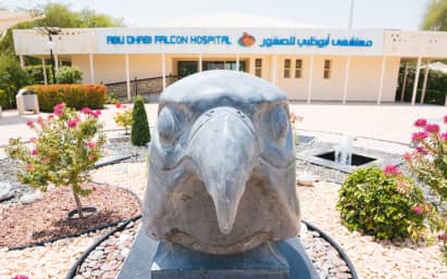 Позавтракать с жирафами