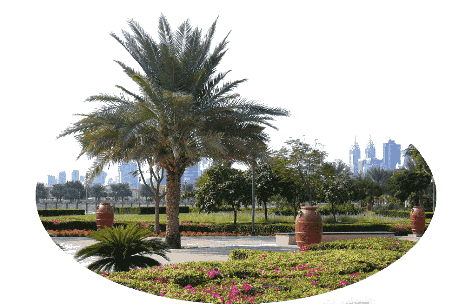 Парк Al Rawda в Эр-Рияде